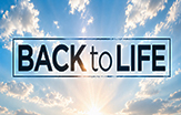 Back to Life